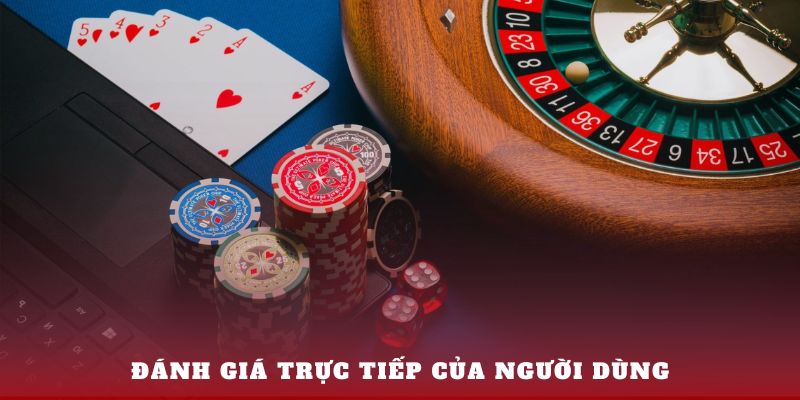 Đánh giá trực tiếp của người dùng