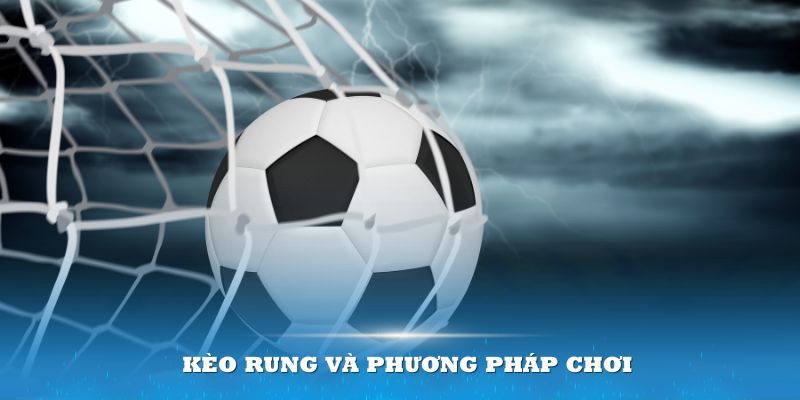 Hướng dẫn cách đánh kèo cược rung chuẩn xác nhất